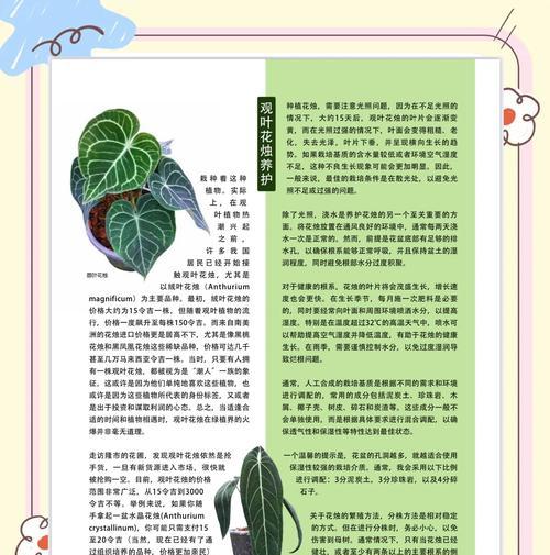 叶榕花语有哪些含义？叶榕植物的花语背后的故事是什么？