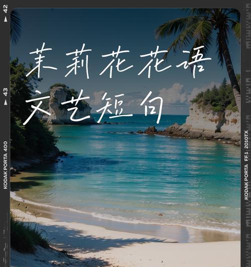 花语繁心是什么意思？花语繁心植物的花语有何特别之处？
