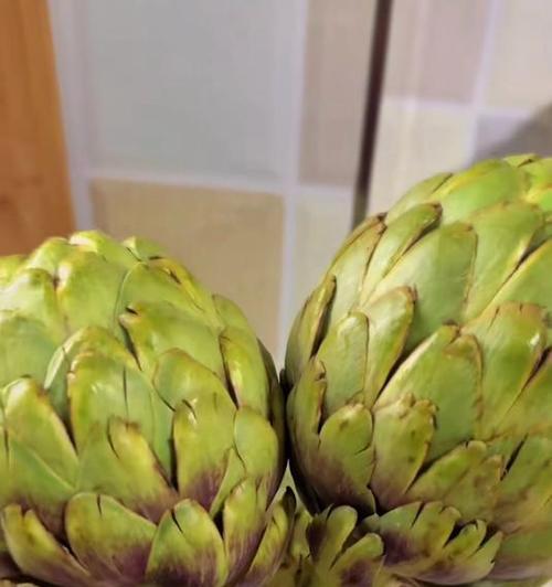 洋蓟花语有哪些含义？如何解读洋蓟的花语？