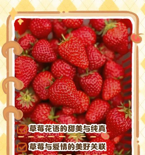 果子花语通常表达什么情感？果子花语的寓意有哪些？