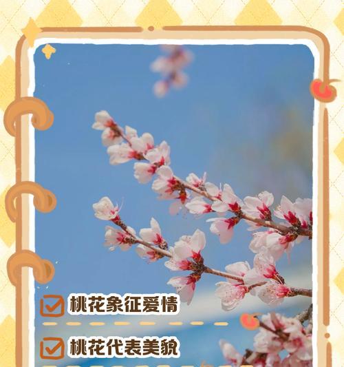 果子花语通常表达什么情感？果子花语的寓意有哪些？
