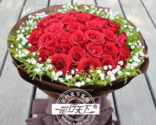 圣诞花语通常包含哪些祝福？圣诞花语的由来是什么？