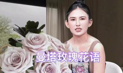 圣诞花语通常包含哪些祝福？圣诞花语的由来是什么？