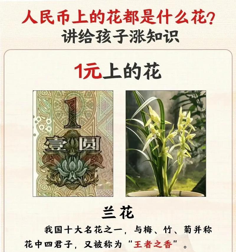 花语随便是什么意思？花语随便背后的含义是什么？