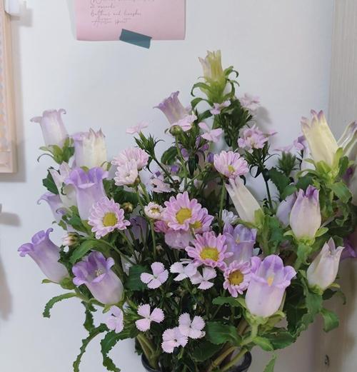 花语随便是什么意思？花语随便背后的含义是什么？