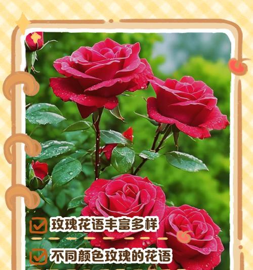 动物花语通常如何表达？动物花语的象征意义是什么？