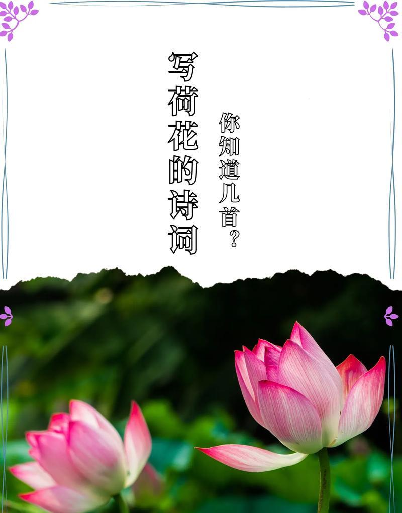 这个花语是什么意思？这个花语背后的含义是什么？