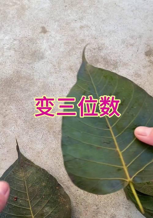 树叶花语在自然界中象征什么？树叶花语在艺术中如何被运用？
