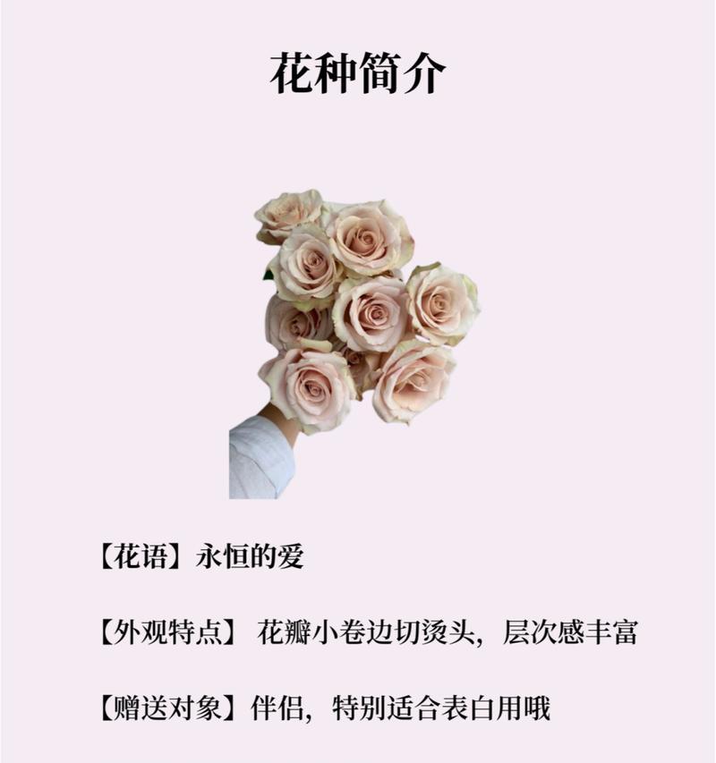 花语追忆通常用来表达什么情感？花语追忆在纪念仪式中如何被使用？