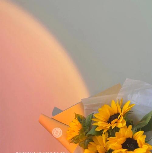花语羡慕通常如何表达？花语羡慕在社交场合中如何被理解？
