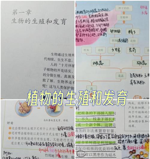 植物繁殖的基本方法和技巧是什么？