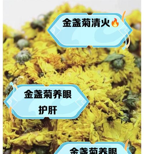 金盏菊的种植步骤是什么？