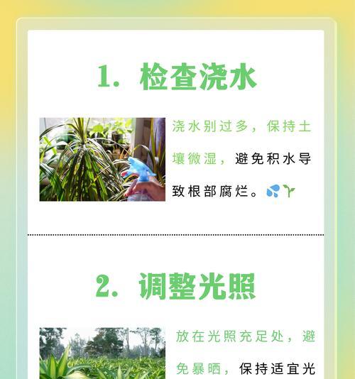花叶黄的原因是什么？如何预防和处理？