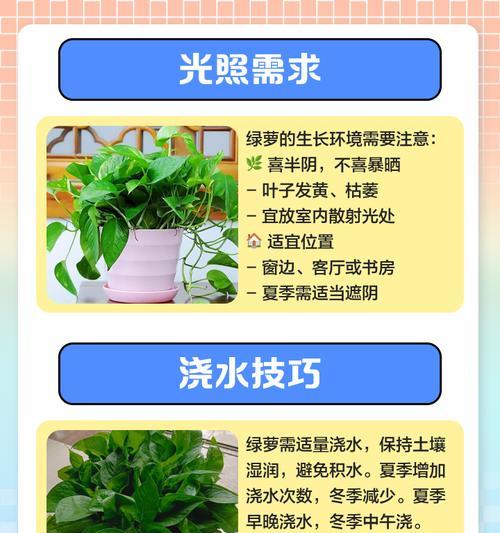 如何加速水培绿萝的生长速度？