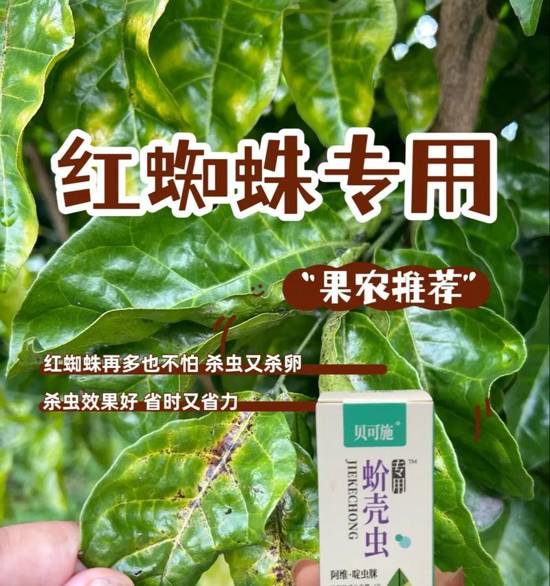 花草是什么意思？花草在园艺中的作用是什么？