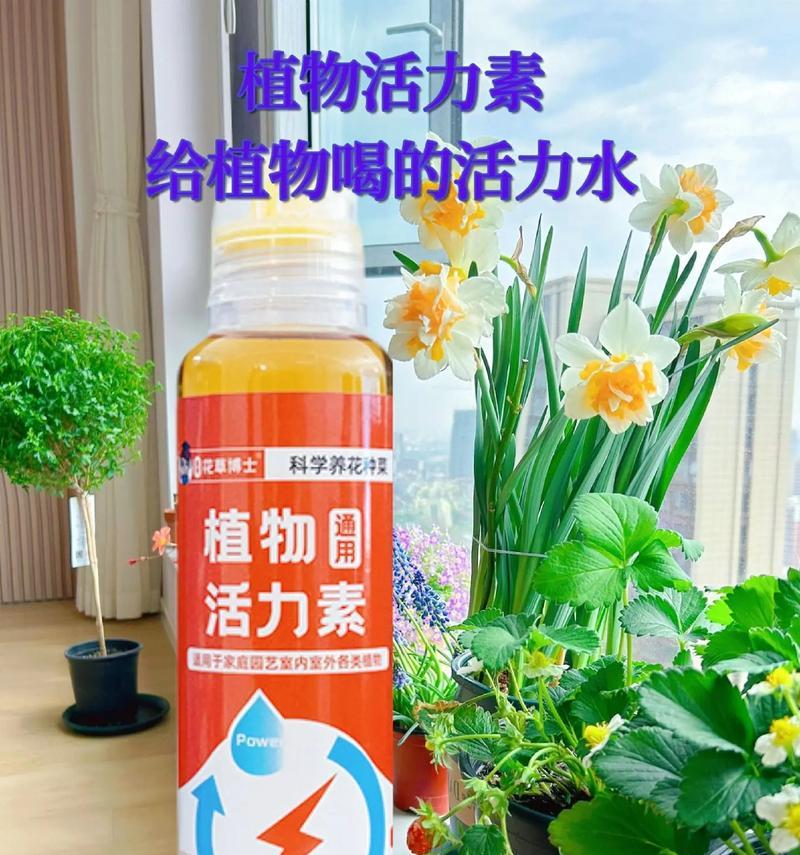 家庭盆栽常用的肥料有哪些？