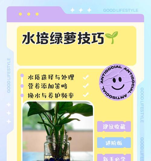 绿萝枯萎后如何进行抢救？
