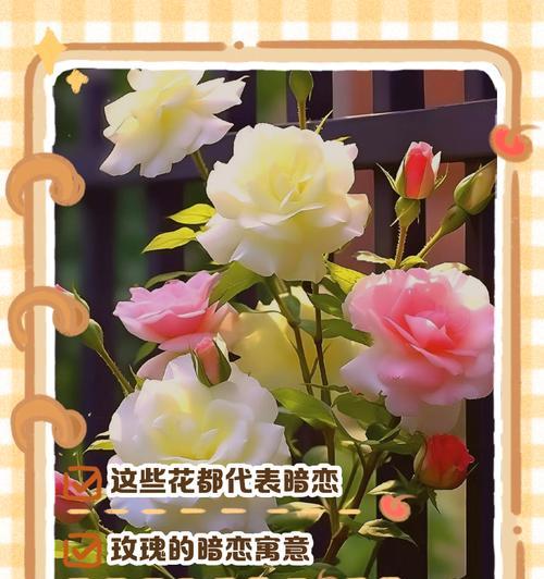 荷花竹种子发芽需要多长时间？