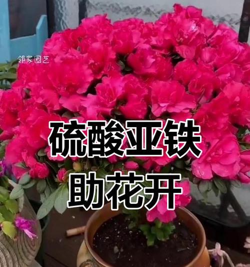 如何改变土壤的酸碱性？土壤酸碱度调整的方法有哪些？