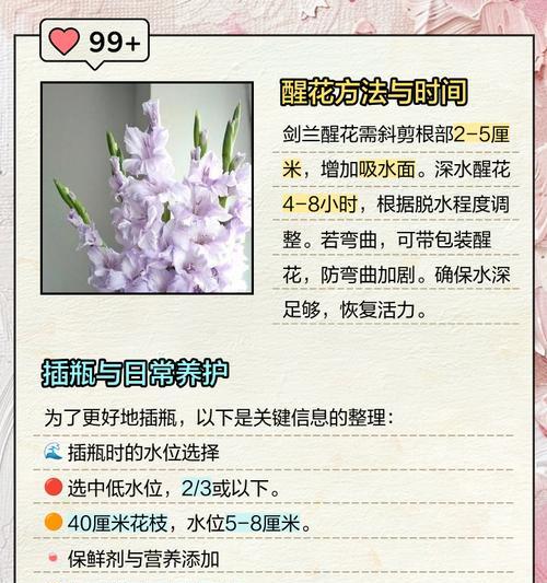 剑兰的养殖方法有哪些？怎样才能养出健壮的剑兰？