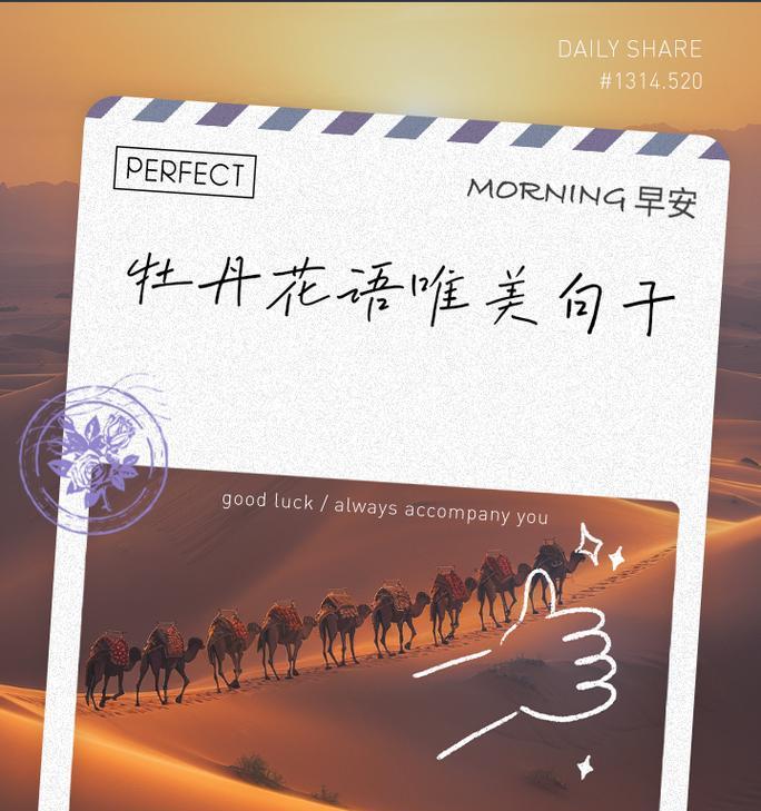牡丹花的花语是什么？牡丹花的象征意义和文化背景是什么？