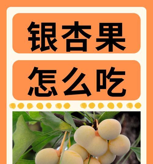 银杏果怎么育苗？银杏果的育苗方法有哪些？