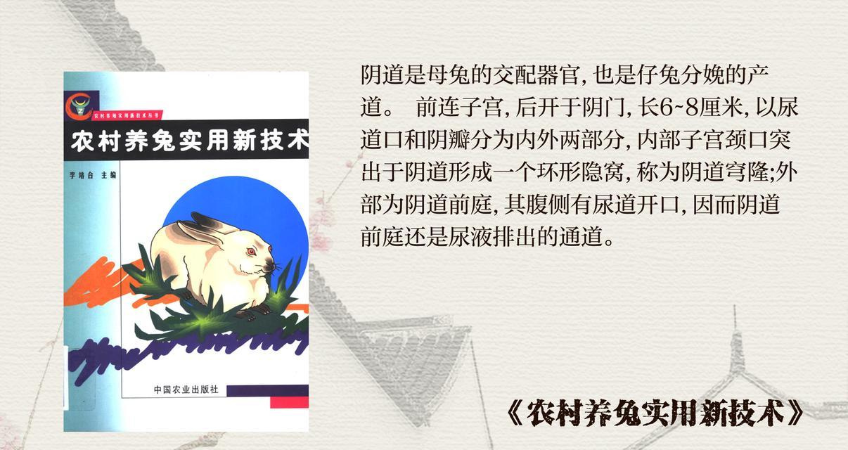 兔耳的繁殖方法是什么？如何提高兔耳的繁殖成功率？