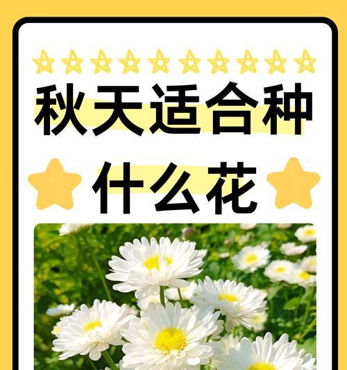 秋季开花的植物有哪些？如何进行秋季植物的养护？