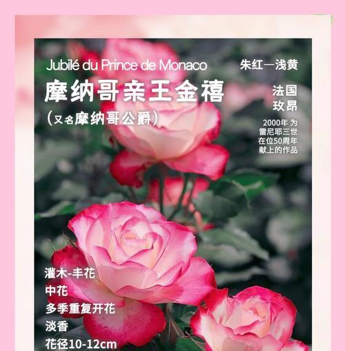 花卉品种繁多如何选择？花卉品种选择与养护指南？