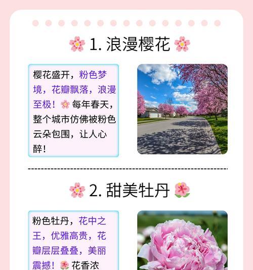 樱花的花语代表了什么含义？