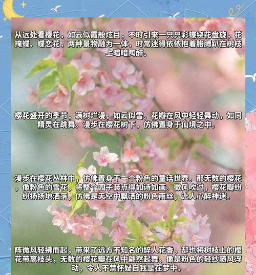 樱花的花语代表了什么含义？