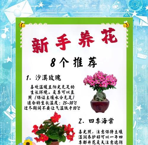 幸运草种植的步骤和注意事项？