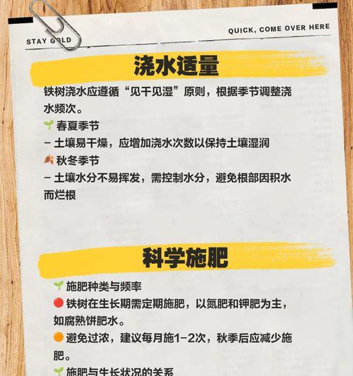 铁树培育需要注意哪些要点？