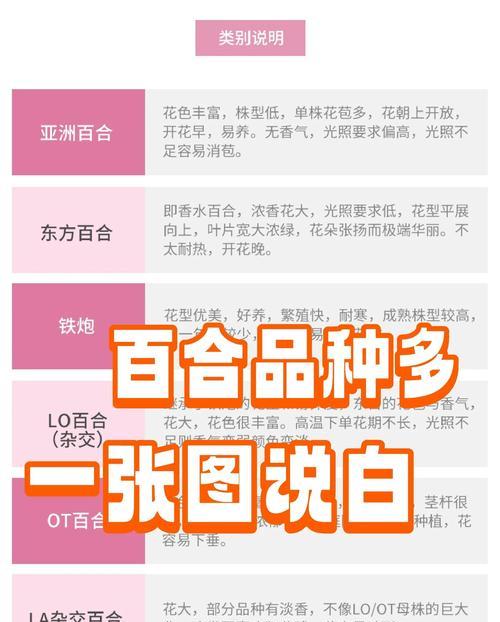百合花种植方法是什么？百合花种植需要注意什么？