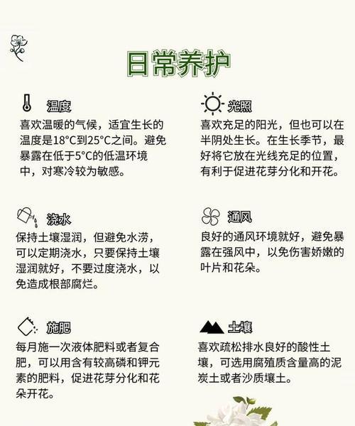 栀子花浇水的正确方法是什么？