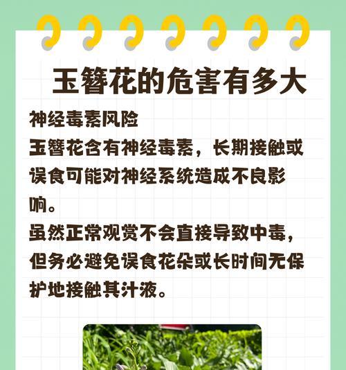 哪些花草含有毒素？如何避免在家中种植有毒植物？