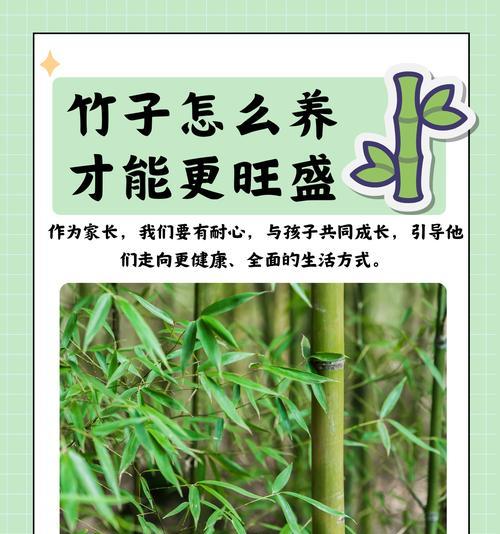 竹子生长需要哪种肥料？