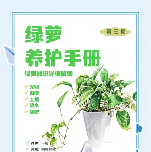 绿萝冻死之后如何挽救？有哪些急救措施？