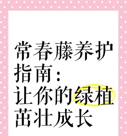 常春藤遭遇虫害如何应对？有效防治措施有哪些？