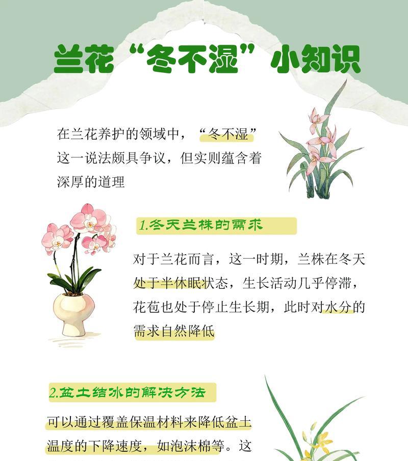 建兰的养殖方法是什么？如何确保建兰健康生长？