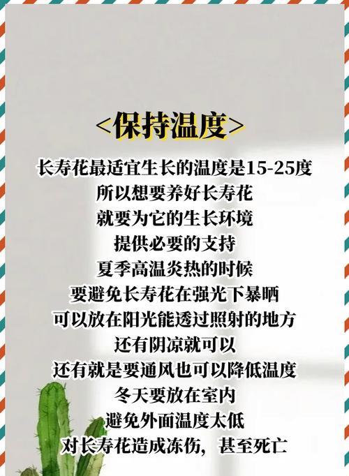 对红花的养殖方法和注意事项是什么？