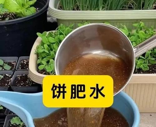 发酵水浇花的好处是什么？如何自制发酵水？