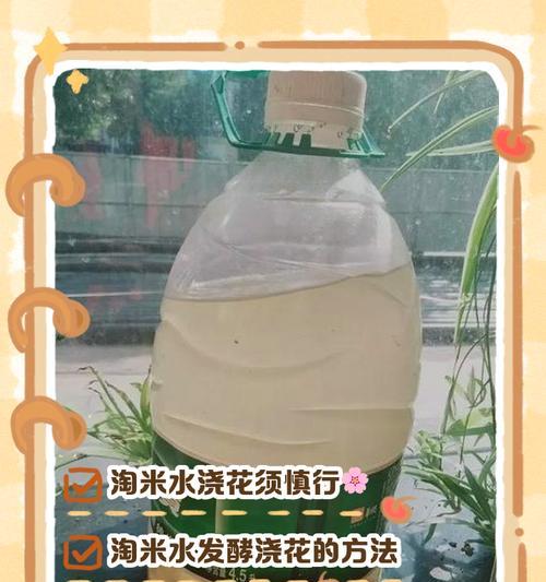 发酵水浇花的好处是什么？如何自制发酵水？