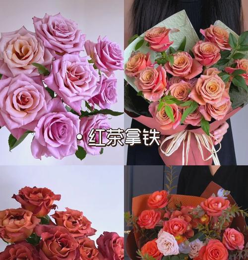 可食用玫瑰花品种有哪些？选择时应注意什么？