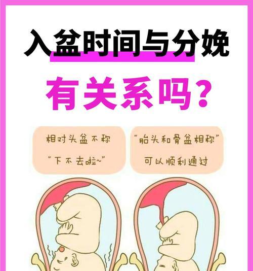 倒盆的最佳时机是什么时候？倒盆过程中需要注意什么？