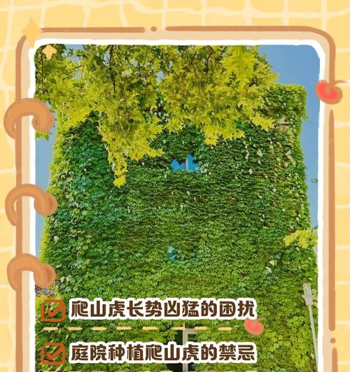 爬山虎种植方法有哪些？如何让它快速生长？