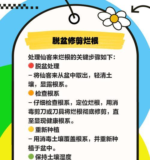 常春藤烂根的急救措施和预防方法是什么？