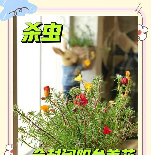 花卉出现虫害的处理方法和预防措施？