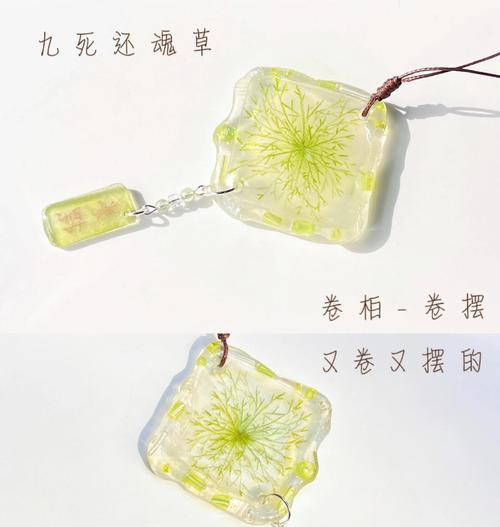 卷柏繁殖方法是什么？