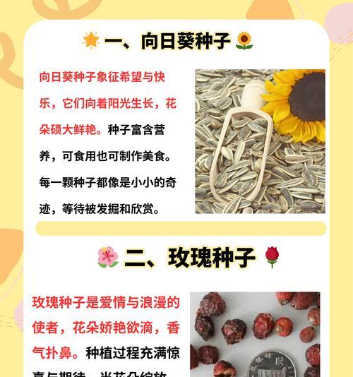 花籽播种的最佳时机是什么时候？播种步骤有哪些？